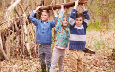 Schools and the middle way