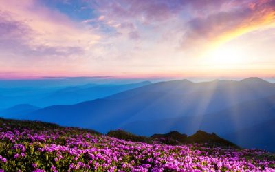 Another ordinary day